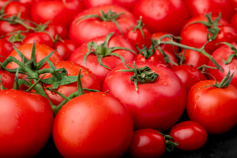 Advanced Techniques in Growing Tomatoes